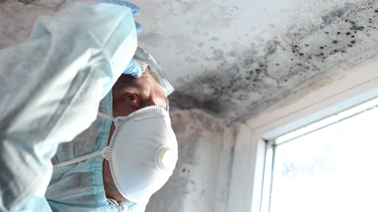 Best Mold Odor Removal Services  in Montgomery, GA